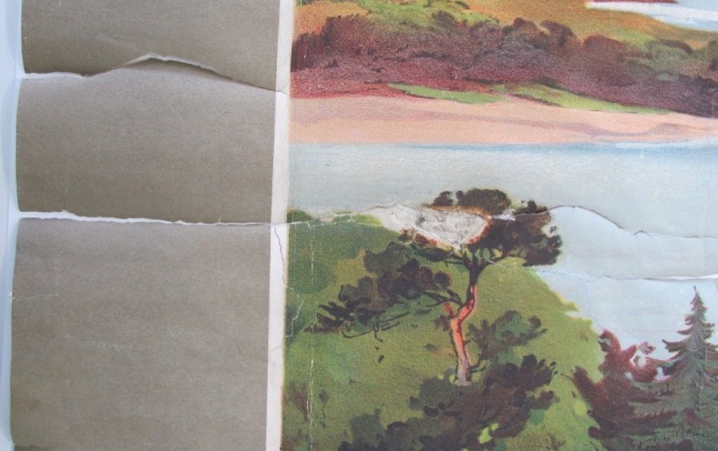 Fig.1. Detail of poor condition, showing tears and loss Fig.1. Detail of poor condition, showing tears and loss