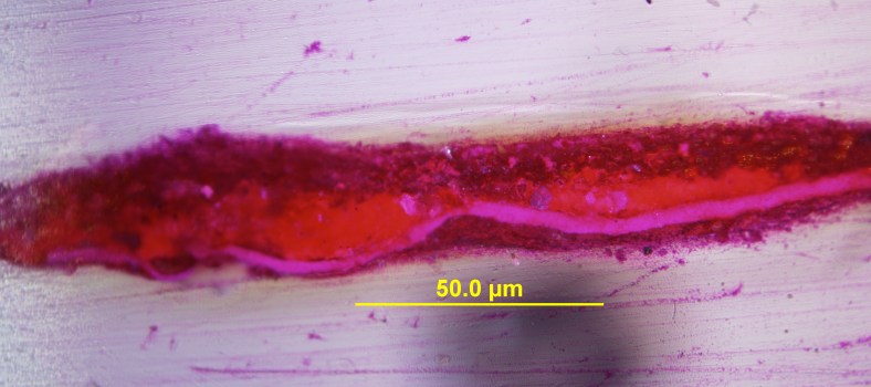 Fig.7 Reverse Glass Print/ Photomicrograph-cross-section_Stained_x100. Photographer: Daisy Todd © 19/03/2014