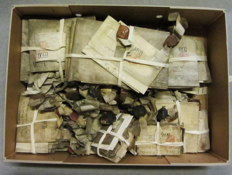 wealth of parchment 004