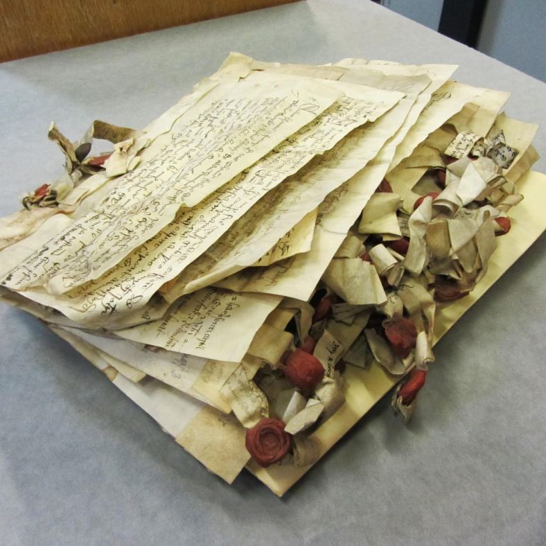 wealth of parchment 009