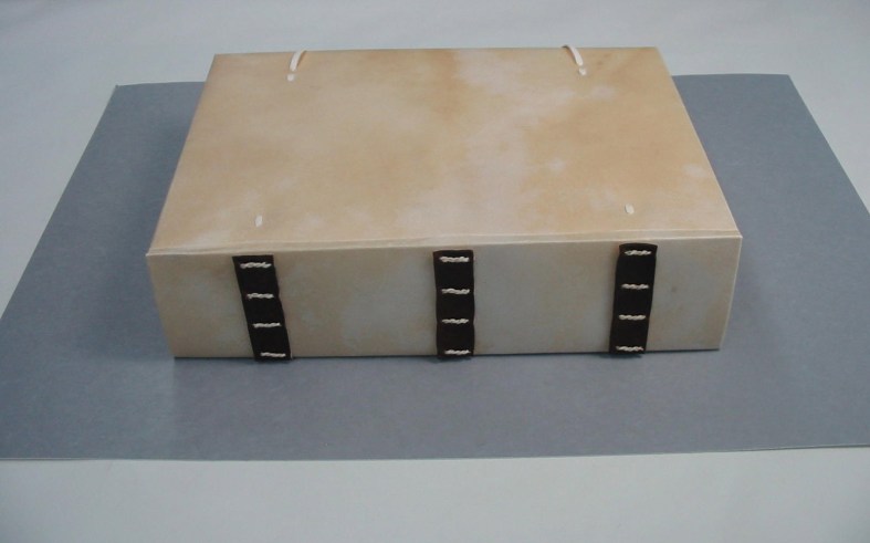 Fig. 12 SKCS 018 after treatment – view towards the spine