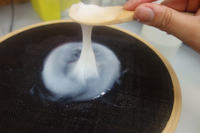 Fig.8 Paste after kneading and sieving twice