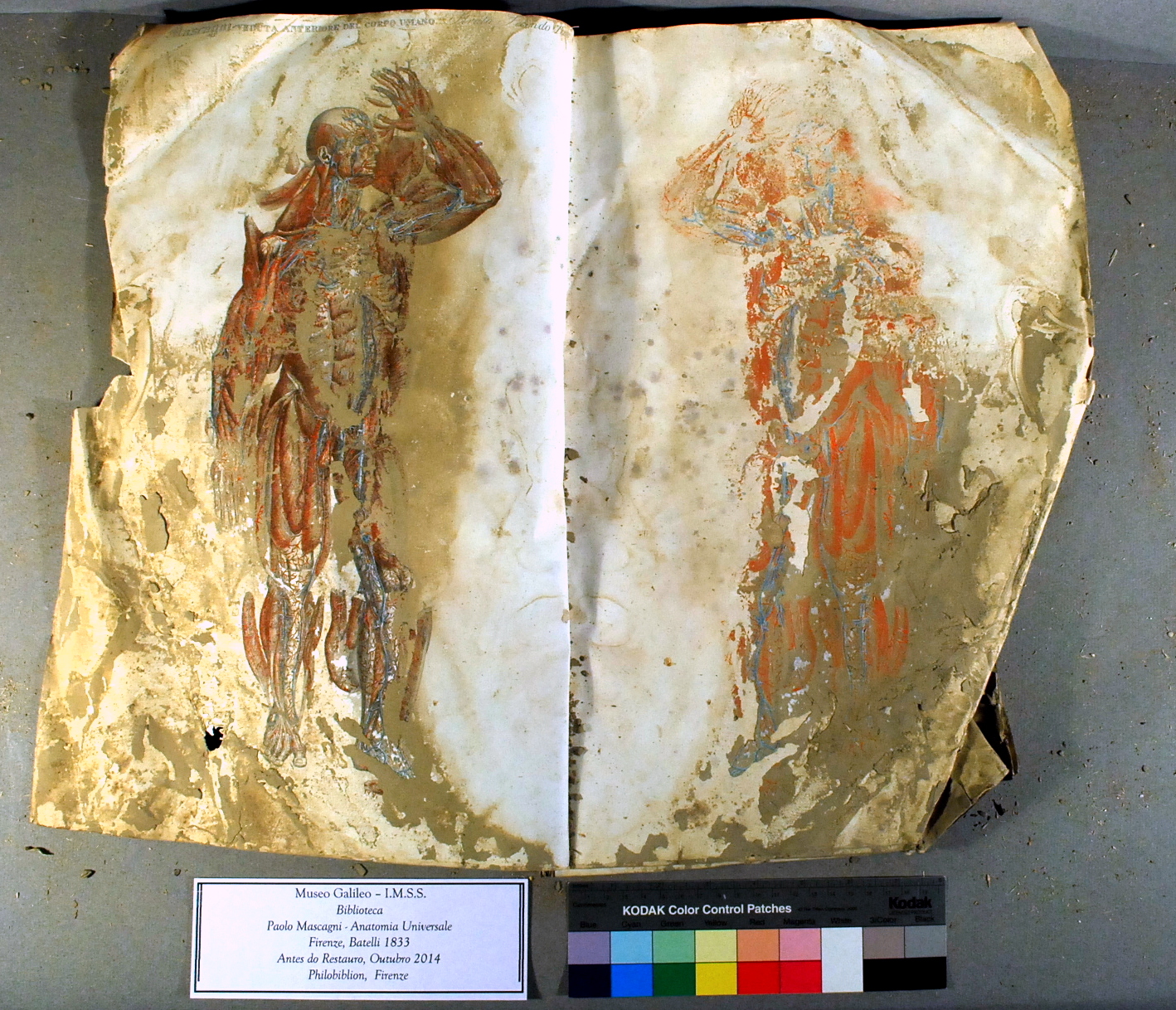 When you're flooded with work | The Book & Paper Gathering