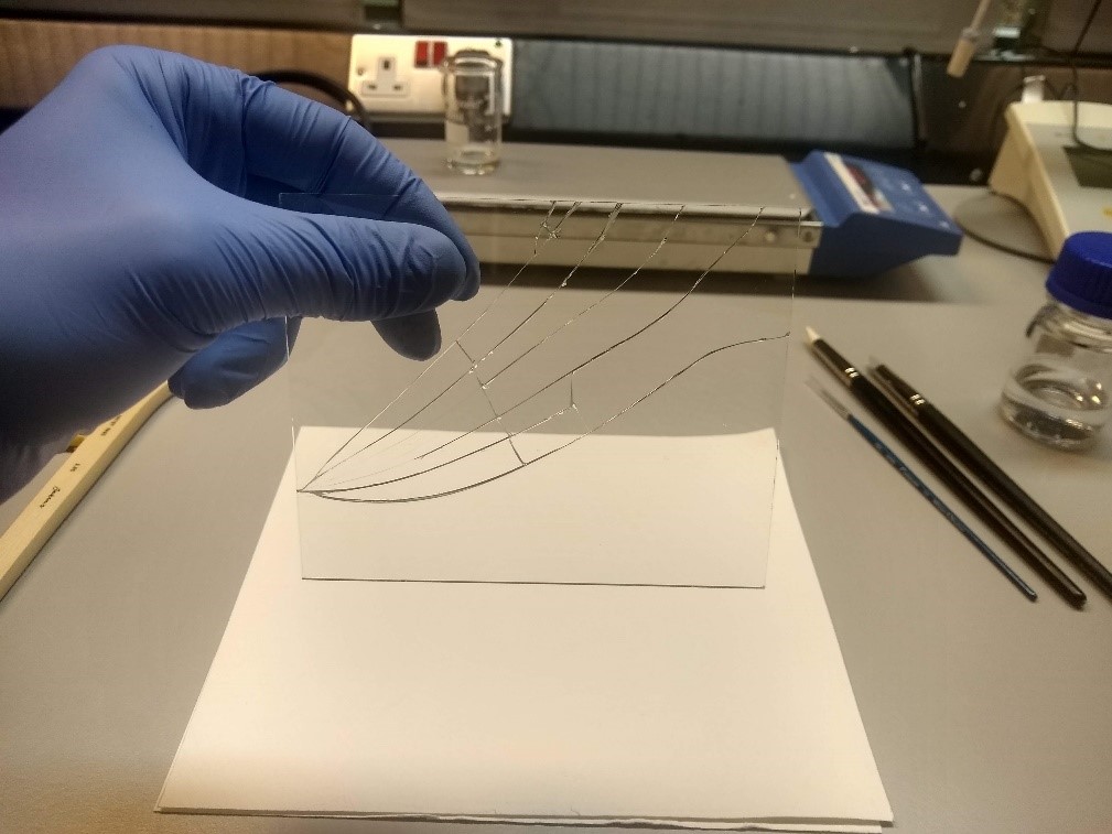 Fig. 10 – Testing the stability of a repaired sample glass plate
