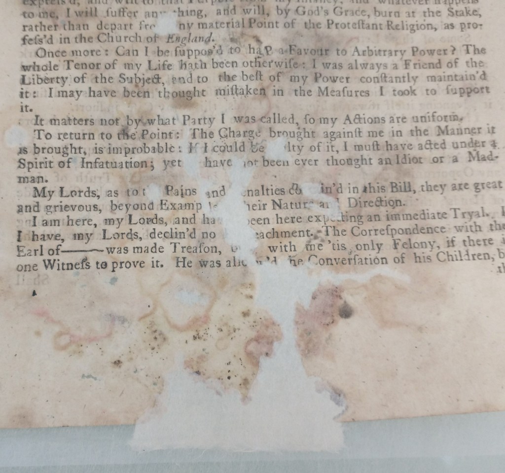 Infill in place. Photography by Talitha Wachtelborn.