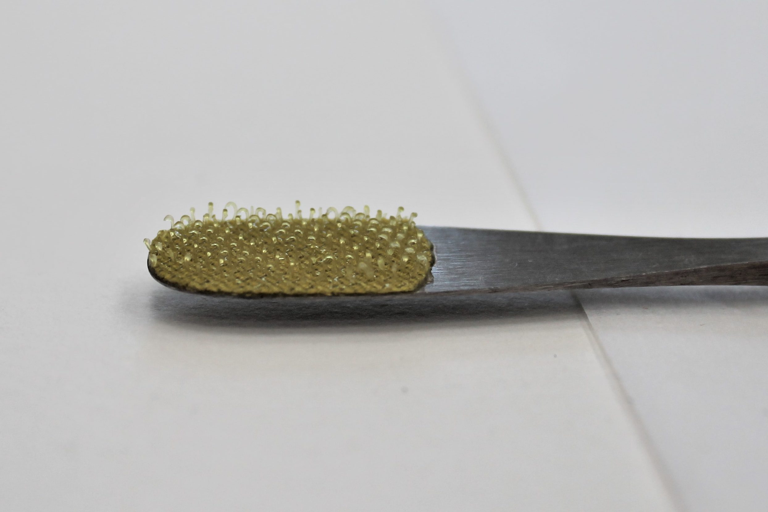 A spatula with one end covered with a piece of Velcro® (hook side). © The Trustees of the Natural History Museum, London.