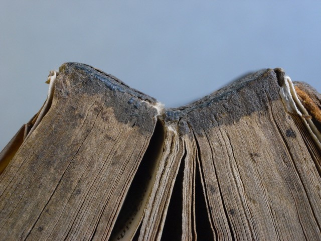 Fig.1.5 – Old glue on edge