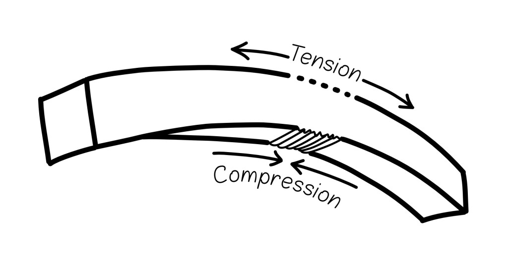  The action of a bending object, illustrating the tension and compression principle. Drawing by Paula Steere; digital rendering by The Book & Paper Gathering.