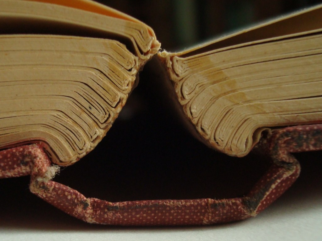 Photograph of the non-uniform bending stiffness of an unpacked sewn spine, resulting in a sharp opening radius, photography by Paula Steere