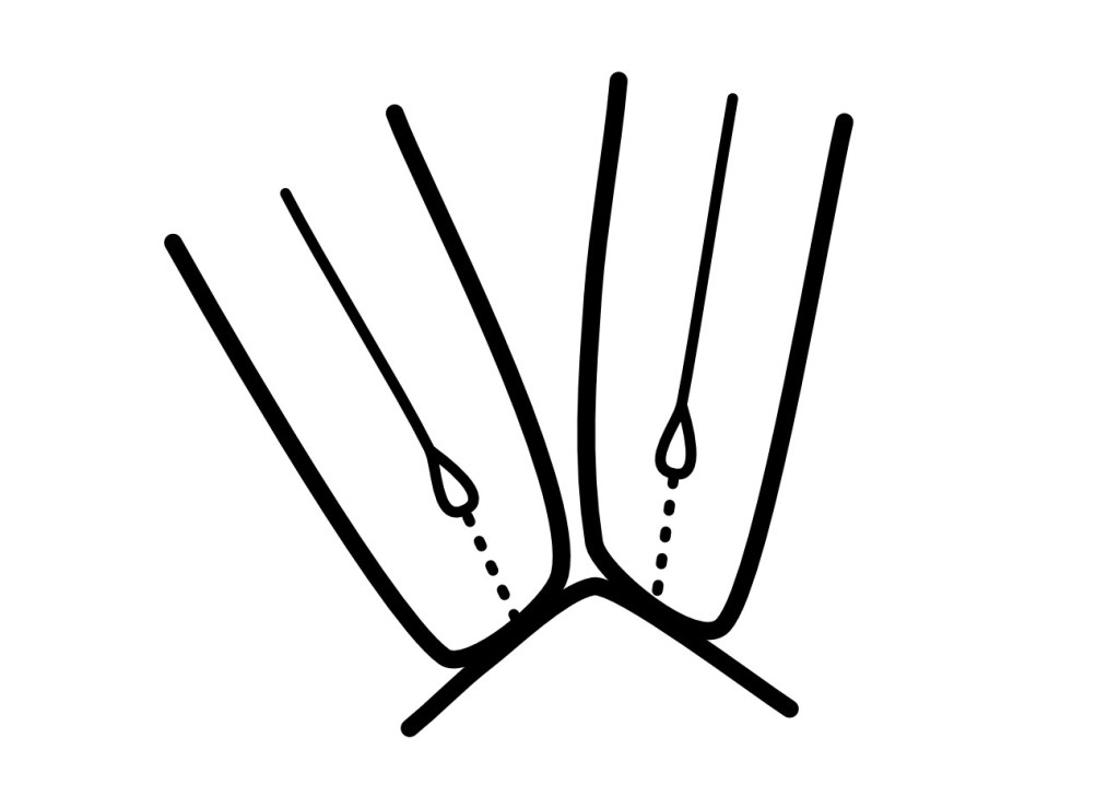 Localised bending at each spine fold creating non-uniform stiffness and increases strain; drawing by Paula Steere, digital rendering by The Book & Paper Gathering.