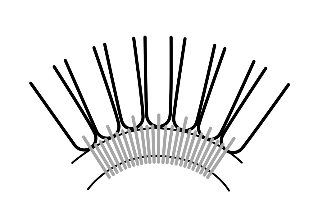 Illustration of packed sewing which reduces the degree of localised strain by creating more uniform bending stiffness, drawing by Paula Steere; digital rendering by The Book & Paper Gathering