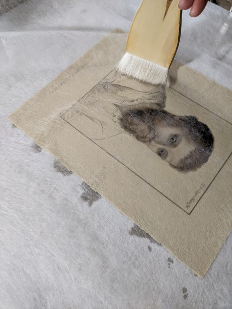 Fig. 7 – A print that underwent an aqueous treatment is resting on a DE stone to remove excess water; the paper is brushed over a layer of non-woven polyester to ensure even contact with the stone. The dark spots visible along the edge of the engraving are wet areas of the DE stone. Photography by Ewa Paul.