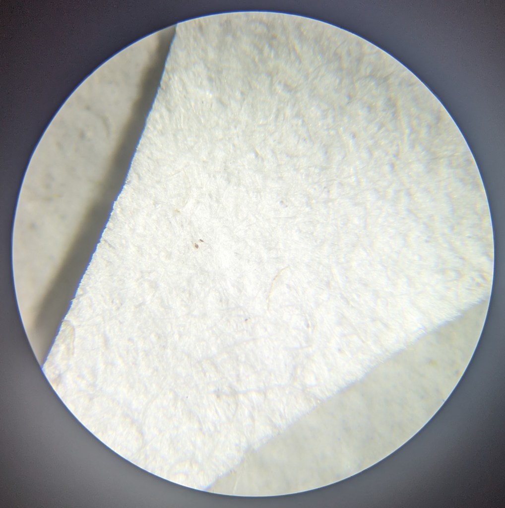 Fig. 7 – Results of tideline testing, 3.5x magnification.