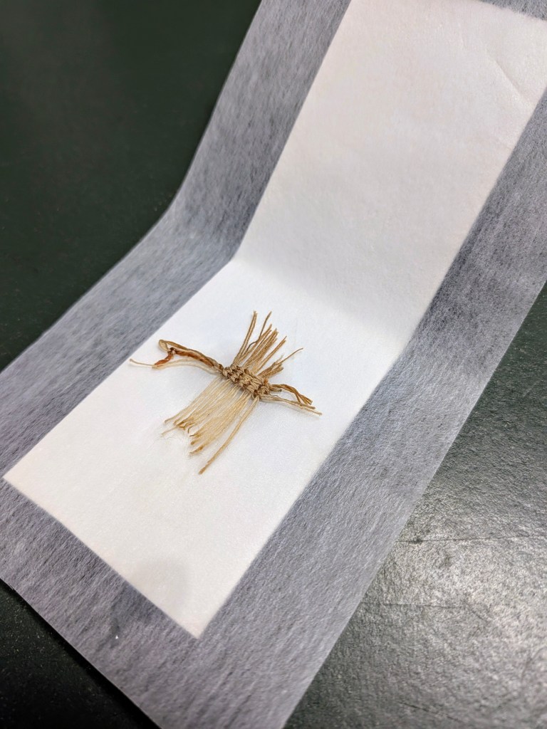 Drying and flattening the endband using Bondina and blotting paper