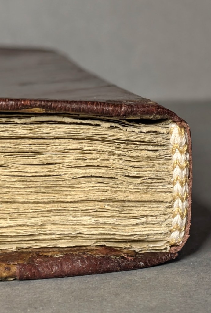 Tail endband detail after conservation