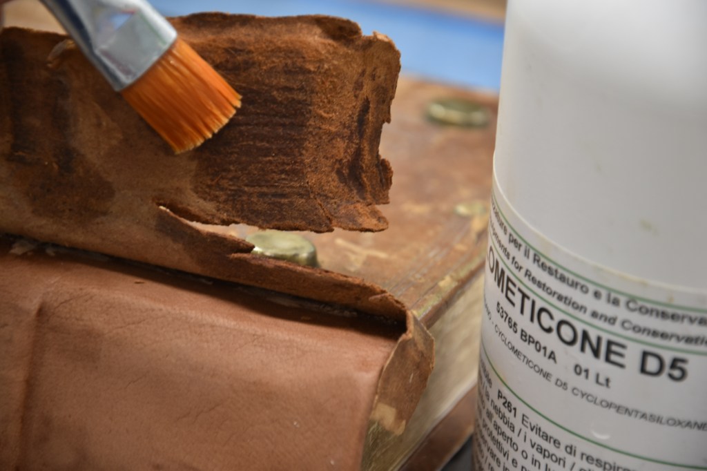 Application on the flesh side. Photography by Viviana Molinari; courtesy of the Biblioteca San Francesco della Vigna di Venezia.