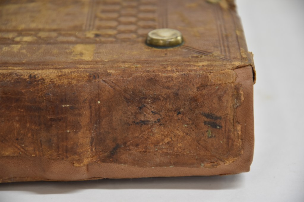 The spine after the treatment. Photography by Viviana Molinari; courtesy of the Biblioteca San Francesco della Vigna di Venezia.