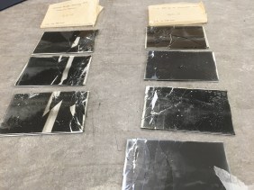 Rows of cracked quarter-plate glass negs resting on their stiff paper supports, awaiting stabilisation. Photo by Alison Faden.