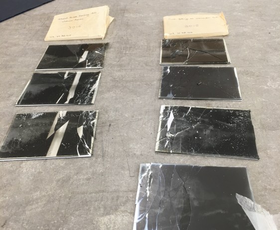 Rows of cracked quarter-plate glass negs resting on their stiff paper supports, awaiting stabilisation. Photo by Alison Faden.