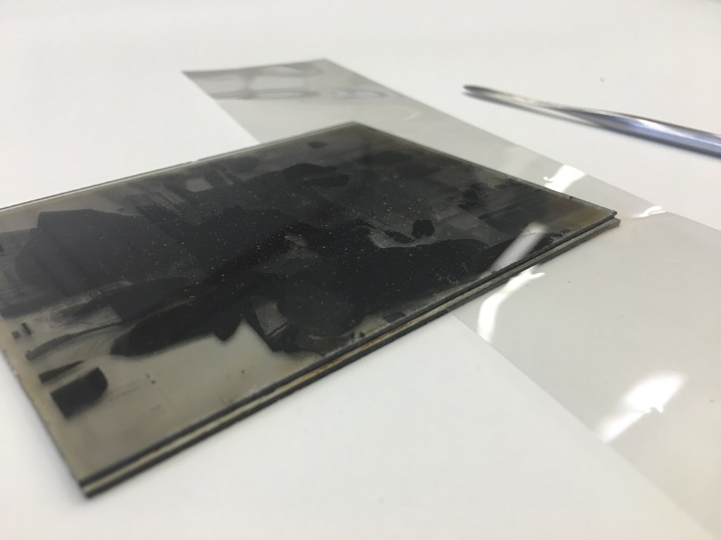 Two fused glass negatives from Bedfordshire Archives BTNeg collection. The 36 micron Melinex strip slides between the two surfaces to tease them apart without undue upward stress on the glass substrate. Photo by Alison Faden.